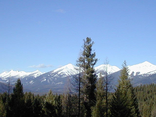 1787 Grandview Dr, Seeley Lake, Other, MT 59868