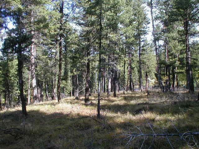 1787 Grandview Drive, Seeley Lake, MT 59868
