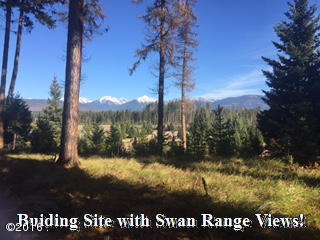 594 Daisy Lane, Seeley Lake, MT 59868