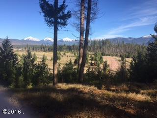 594 Daisy Lane, Seeley Lake, MT 59868