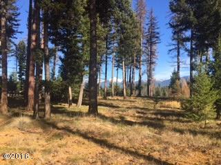 594 Daisy Lane, Seeley Lake, MT 59868