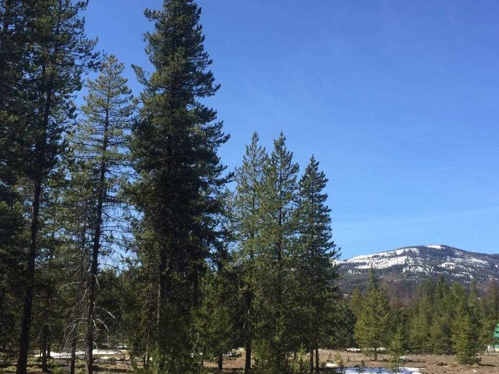 NHN Stag Ln, Seeley Lake, Other, MT 59868