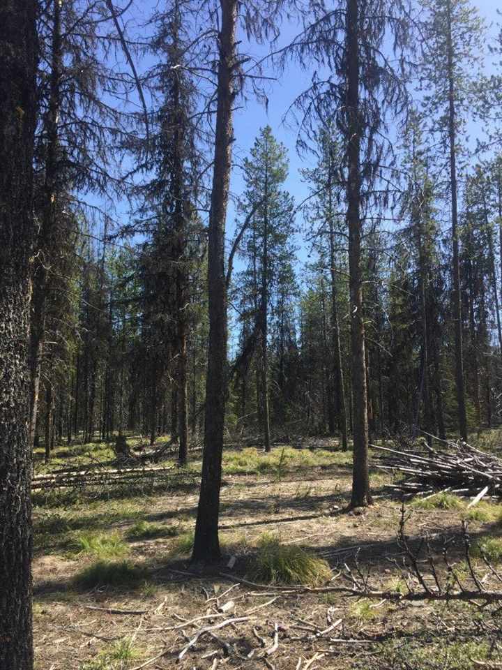 NHN Stag Ln, Seeley Lake, Other, MT 59868