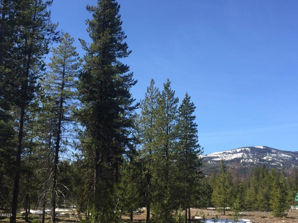 Nhn Stag Lane, Seeley Lake, MT 59868