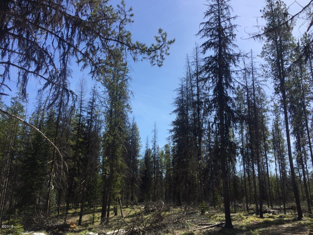 Nhn Stag Lane, Seeley Lake, MT 59868