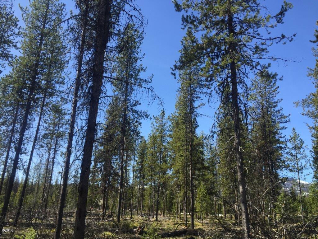 Nhn Stag Lane, Seeley Lake, MT 59868
