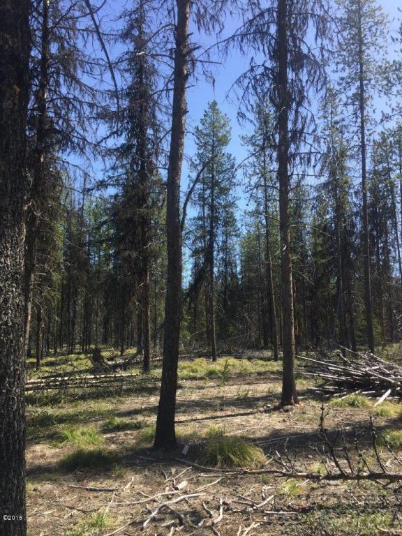Nhn Stag Lane, Seeley Lake, MT 59868