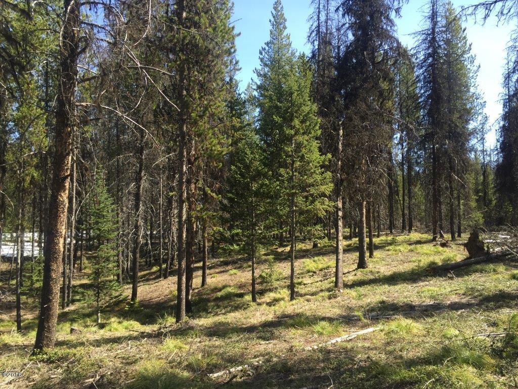 Nhn Stag Lane, Seeley Lake, MT 59868