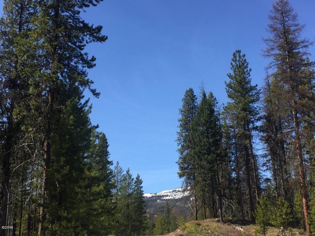 Nhn Stag Lane, Seeley Lake, MT 59868