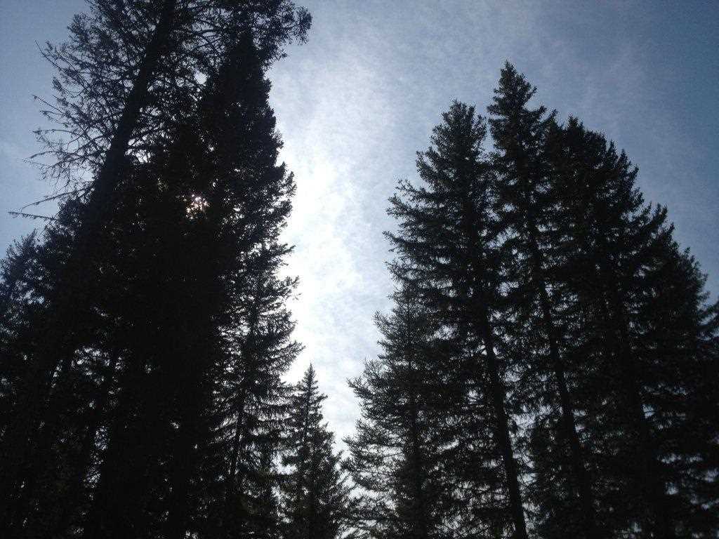 681 Sourdough, Seeley Lake, Other, MT 59868