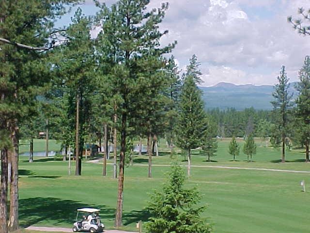 Lot 47 Double Arrow Road, Other, MT 59868
