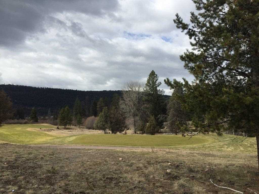 NHN Golf View Dr, Seeley Lake, Other, MT 59868