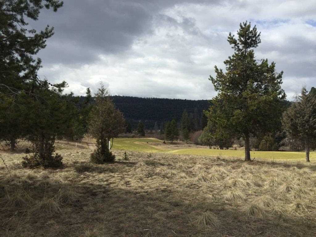 NHN Golf View Dr, Seeley Lake, Other, MT 59868