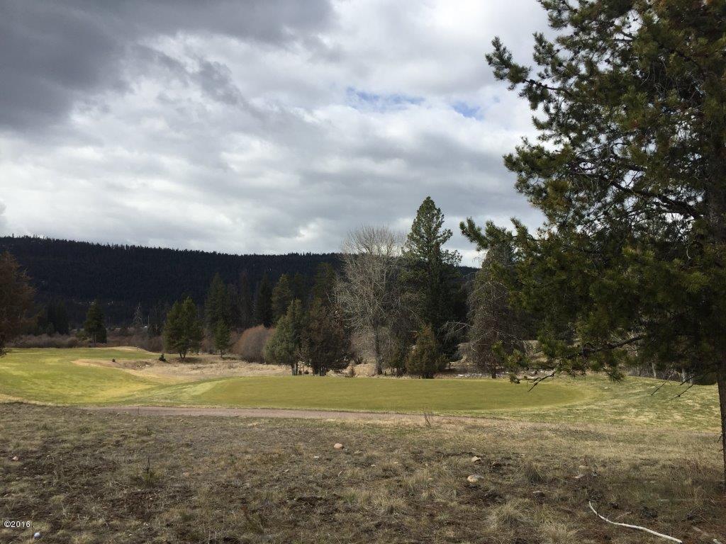 Nhn Golf View Drive, Seeley Lake, MT 59868