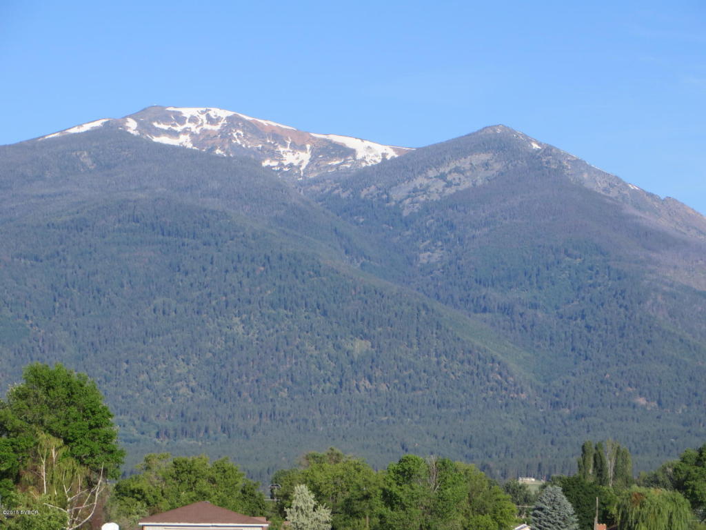242Birch LN, Stevensville, MT 59870