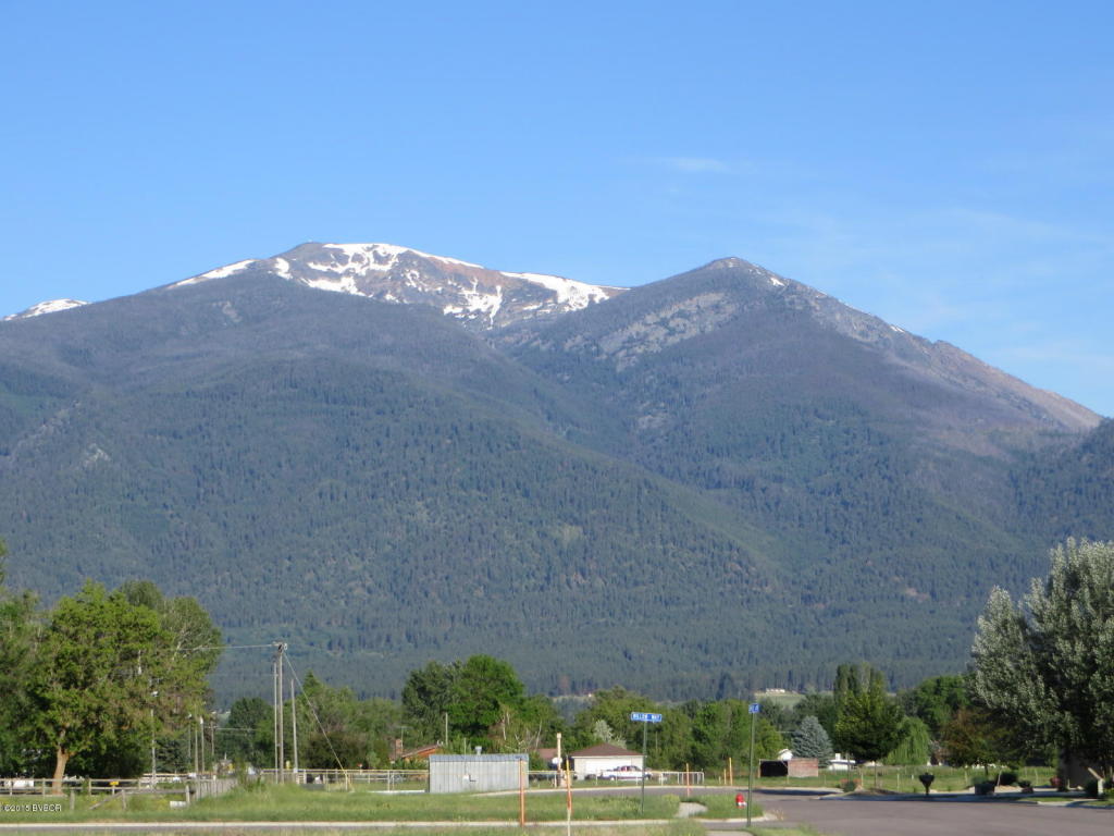 273Birch LN, Stevensville, MT 59870
