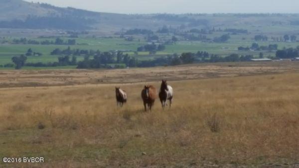 NhnWilly WAY, Stevensville, MT 59870