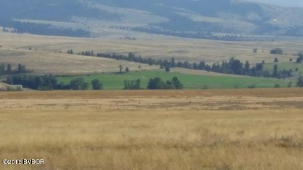 NhnWilly WAY, Stevensville, MT 59870