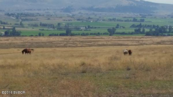 NknWilly WAY, Stevensville, MT 59870