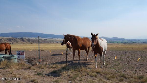 NknWilly WAY, Stevensville, MT 59870