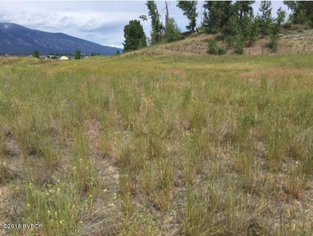 NhnLonesome Pine TRL, Stevensville, MT 59870