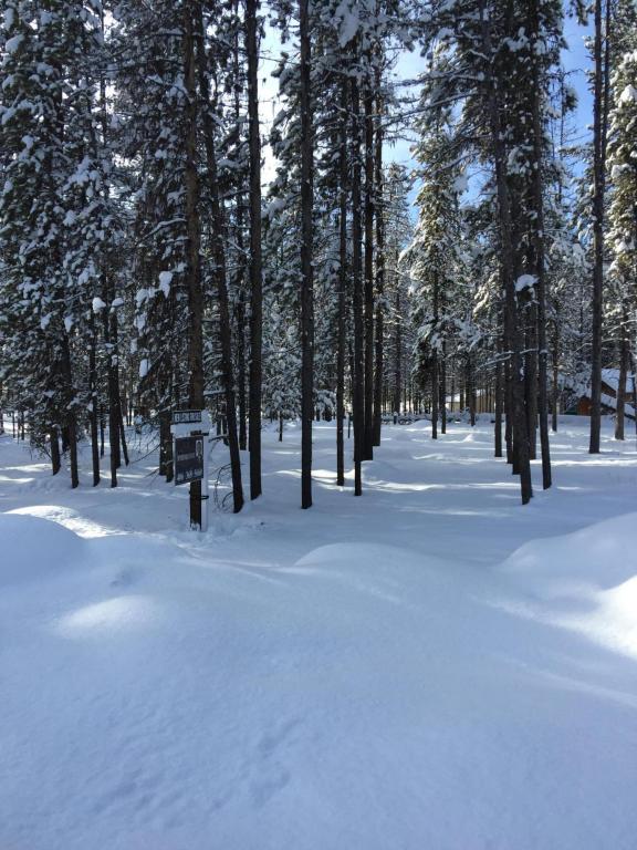 NhnBonanza DR, Sula, MT 59871
