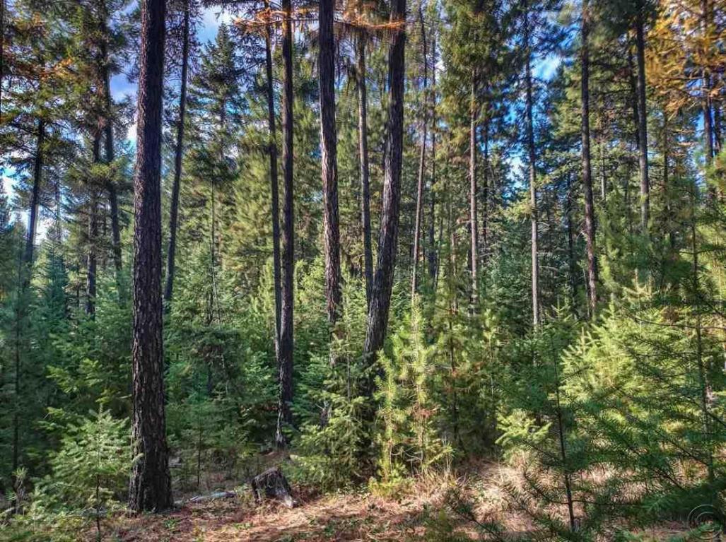 Nhn Woodside Road, Thompson Falls, MT 59873