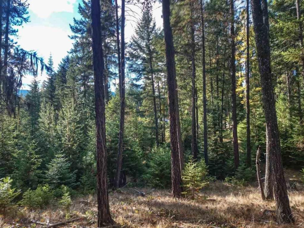 Nhn Woodside Road, Thompson Falls, MT 59873