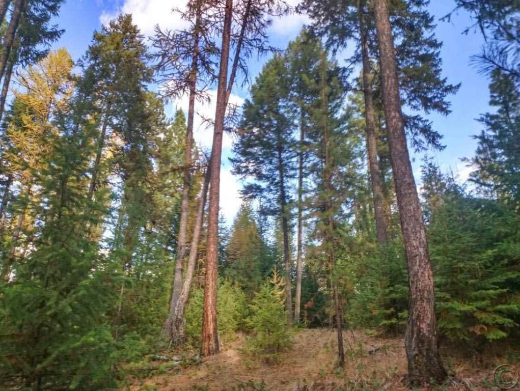 Nhn Woodside Road, Thompson Falls, MT 59873