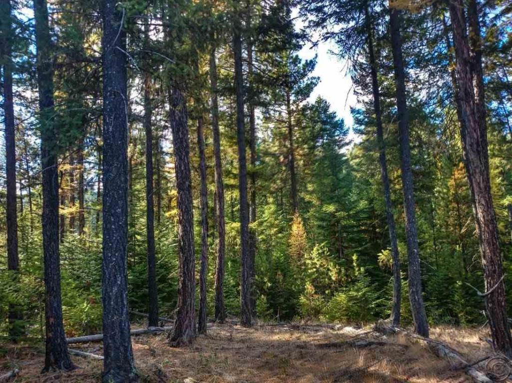 Nhn Woodside Road, Thompson Falls, MT 59873