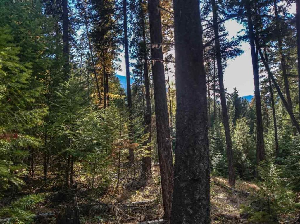 Nhn Woodside Road, Thompson Falls, MT 59873
