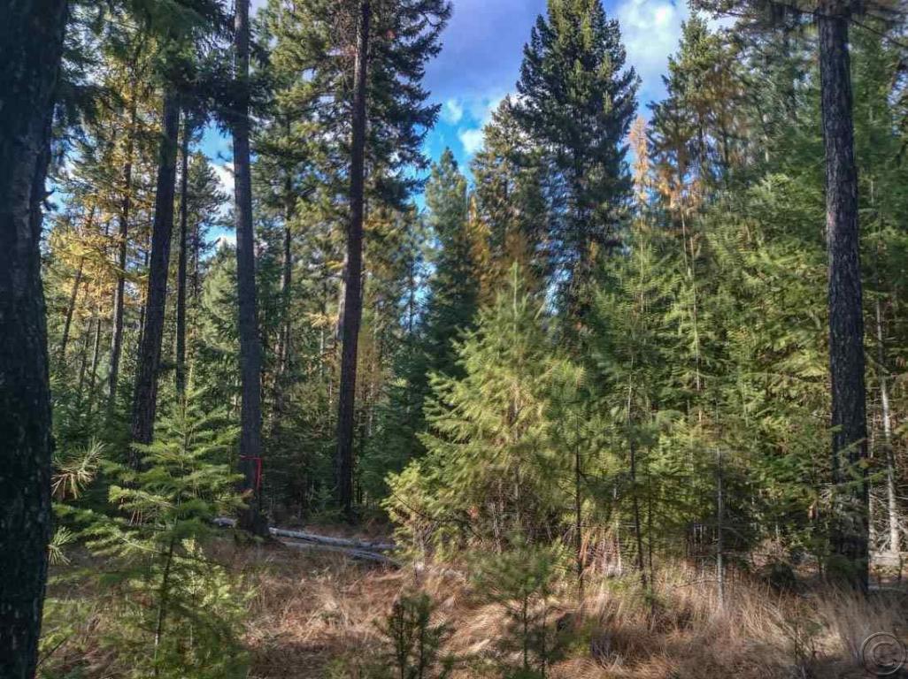 Nhn Woodside Road, Thompson Falls, MT 59873