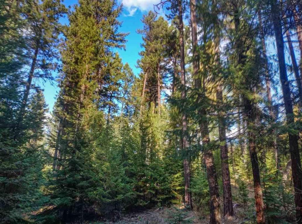 Nhn Woodside Road, Thompson Falls, MT 59873