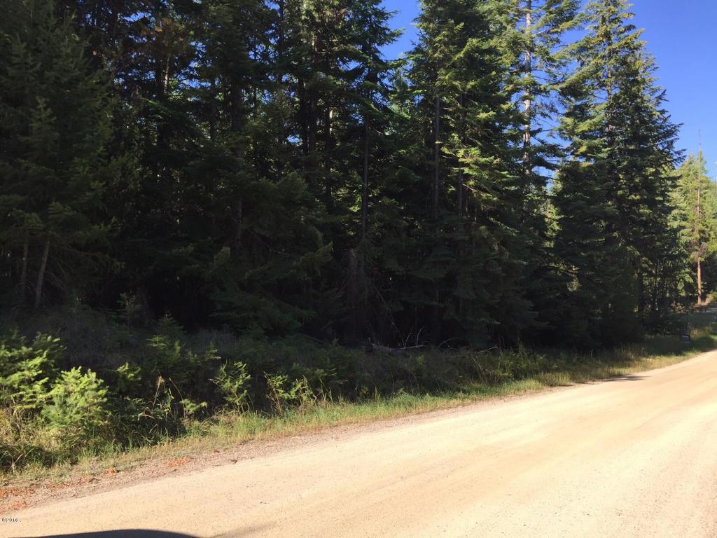 Nhn Woodside Road, Thompson Falls, MT 59873