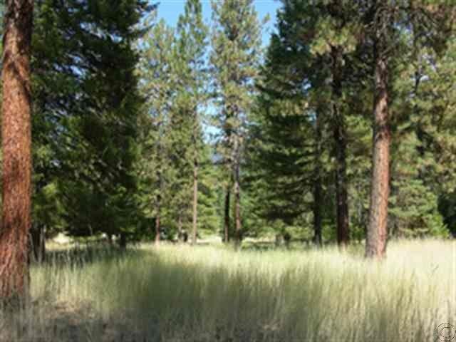 Nhn Columbia Street, Thompson Falls, MT 59873