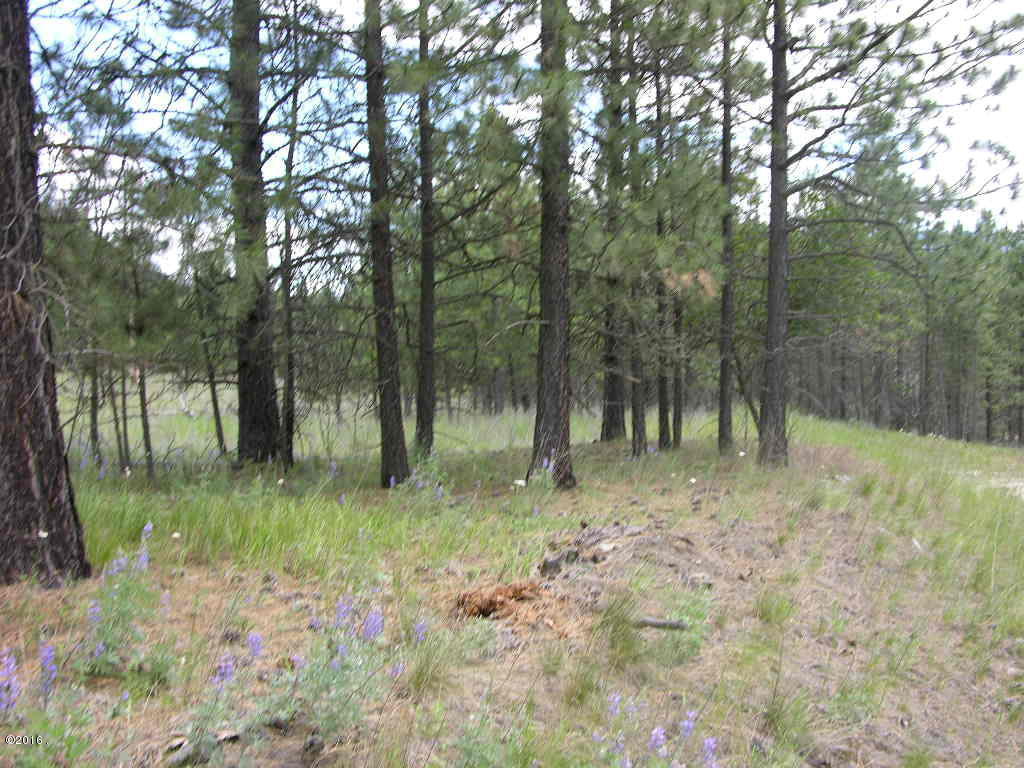 Nhn Aspen Court, Thompson Falls, MT 59873
