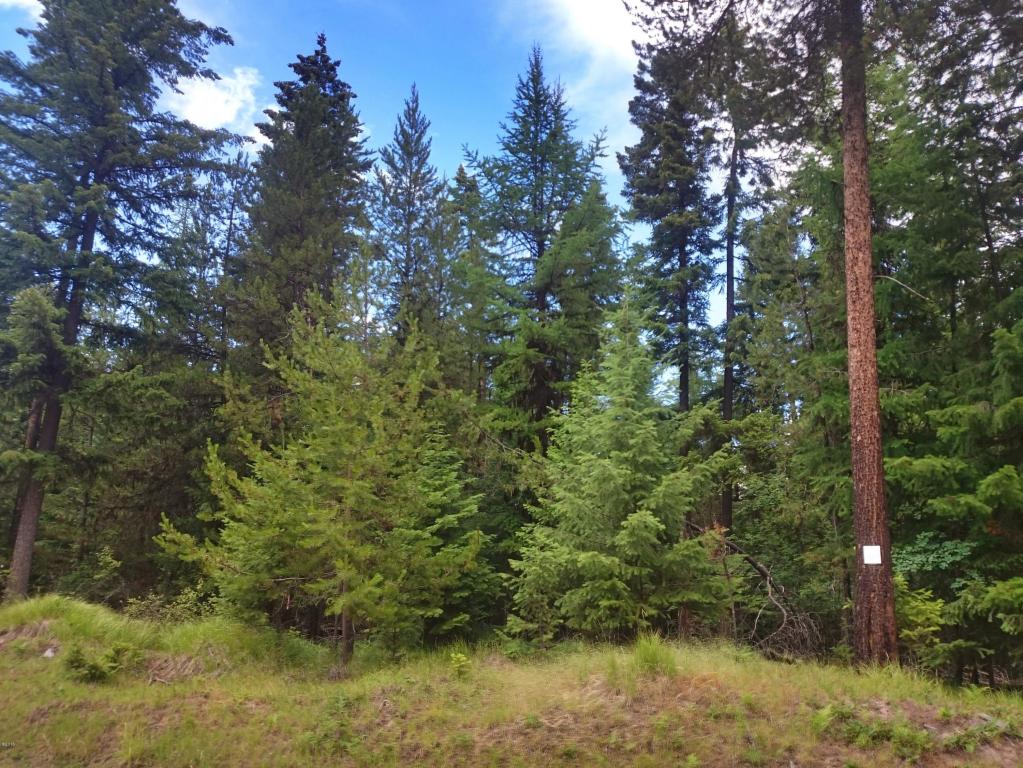 Nhn Woodside Road, Thompson Falls, MT 59873
