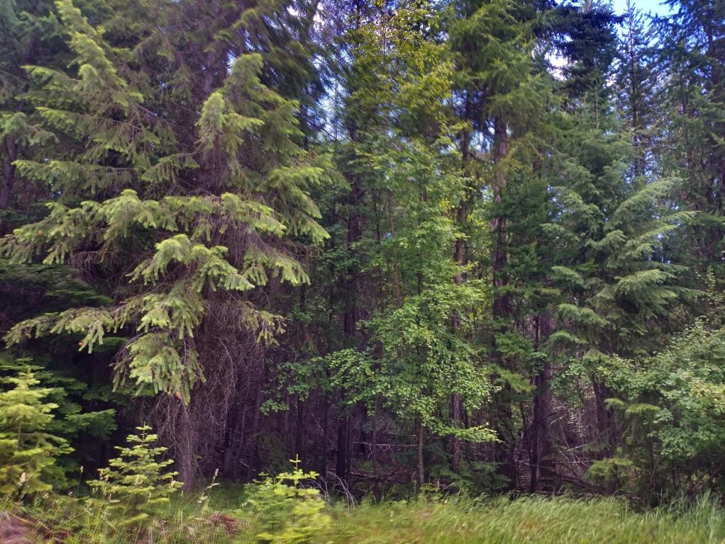 Nhn Woodside Road, Thompson Falls, MT 59873