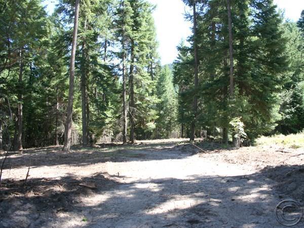 Nhn Woodside, Thompson Falls, MT 59873