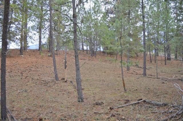 Nhn Woodlin Lane, Thompson Falls, MT 59873