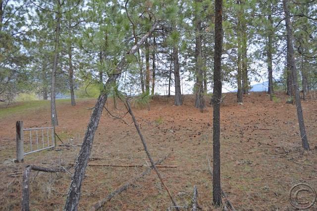 Nhn Woodlin Lane, Thompson Falls, MT 59873