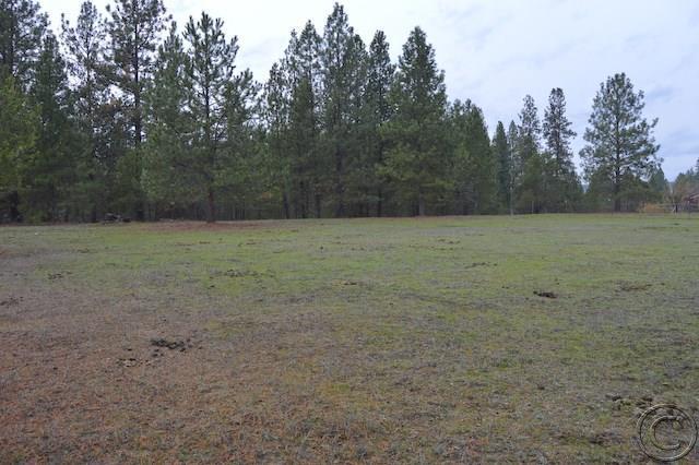 Nhn Woodlin Lane, Thompson Falls, MT 59873
