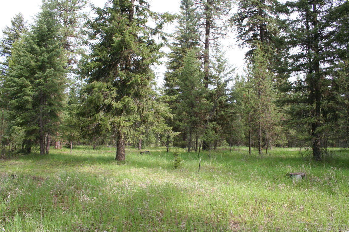 Nhn Cherry Creek Road, Thompson Falls, MT 59873