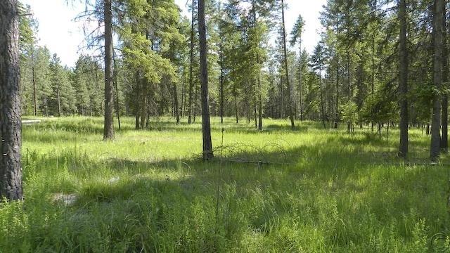 Lot 13 Big Fir Drive, Thompson Falls, MT 59873