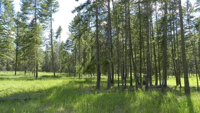 Lot 13 Big Fir Drive, Thompson Falls, MT 59873