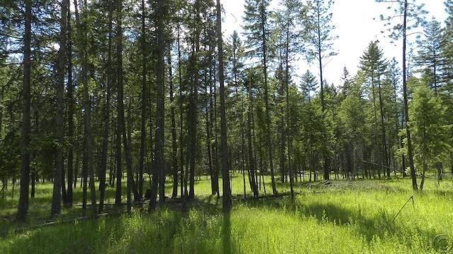 Lot 13 Big Fir Drive, Thompson Falls, MT 59873