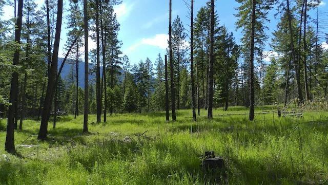 Lot 13 Big Fir Drive, Thompson Falls, MT 59873