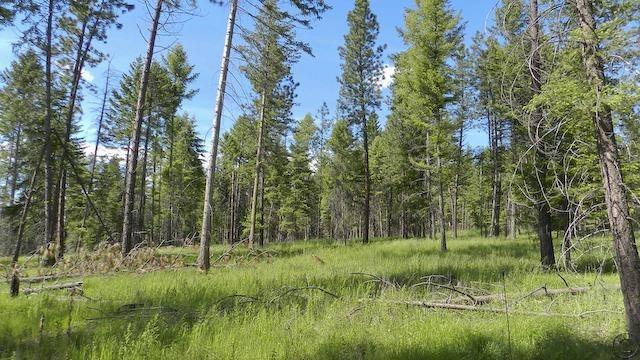 Lot 13 Big Fir Drive, Thompson Falls, MT 59873