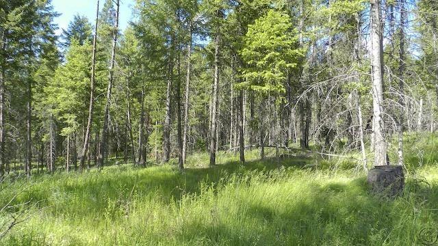 Lot 13 Big Fir Drive, Thompson Falls, MT 59873