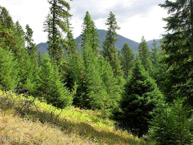Nhn Graves Creek Loop, Thompson Falls, MT 59873